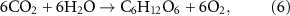 Equation (6)