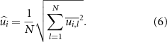 Equation (6)