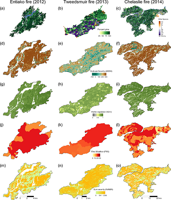 Fire severity and the legacy of mountain pine beetle outbreak: high ...