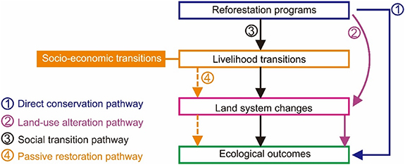 Distinguishing ecological outcomes of pathways in the Grain for Green ...