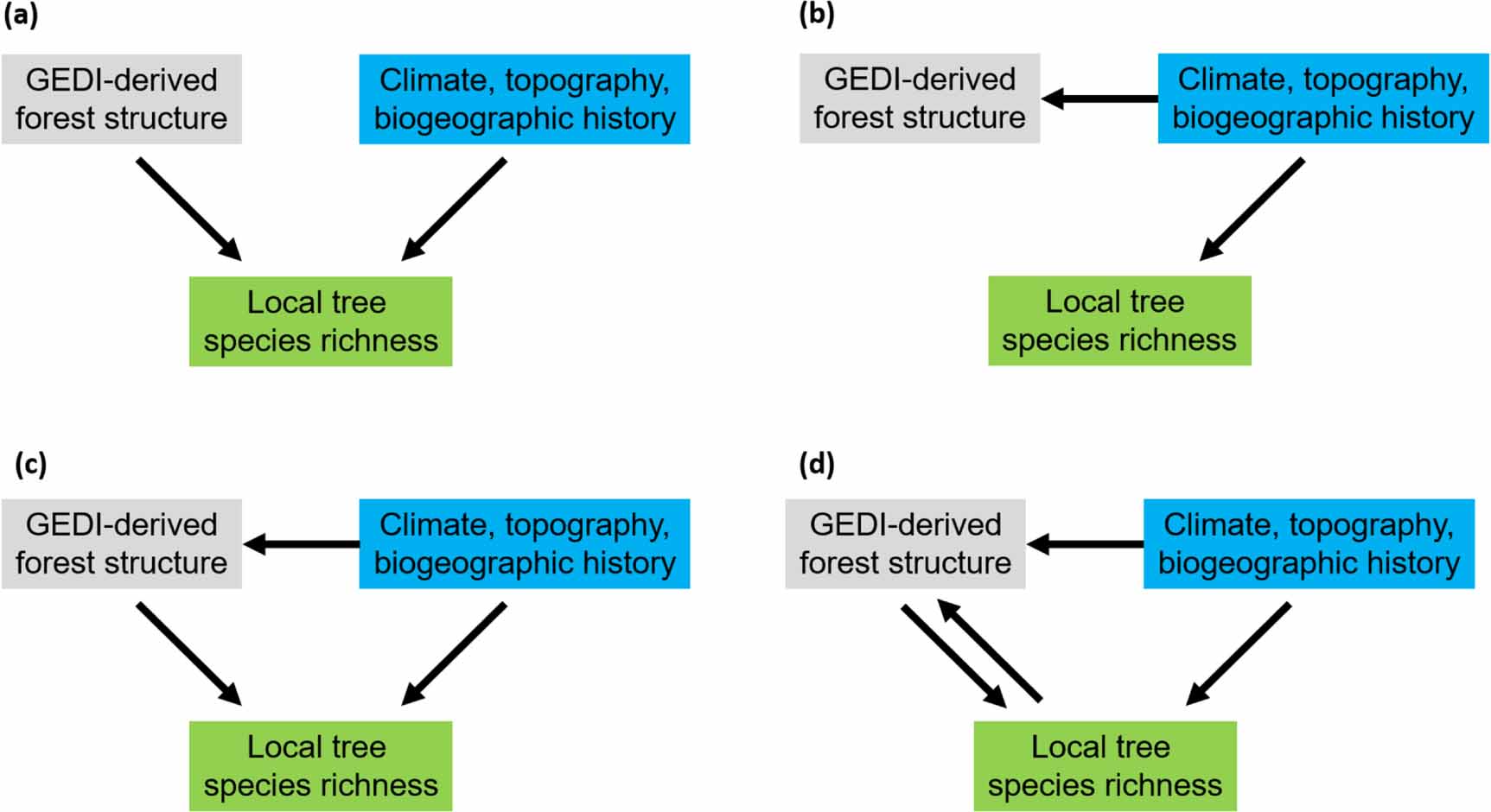 The use of GEDI canopy structure for explaining variation in tree ...