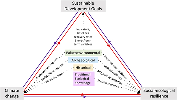 Figure 1. Refer to the following caption and surrounding text.