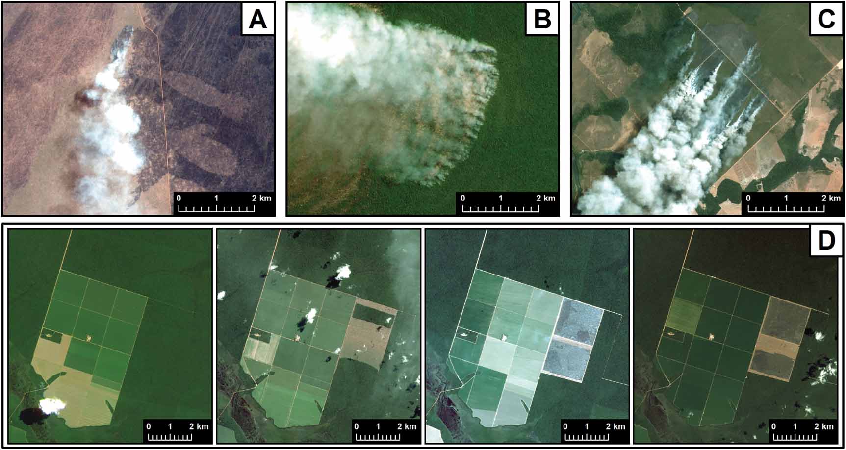An analysis of fire dynamics in and around indigenous territories and ...