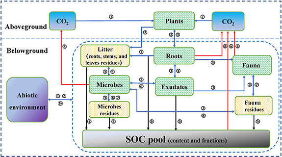 Research advances in mechanisms of climate change impacts on soil ...