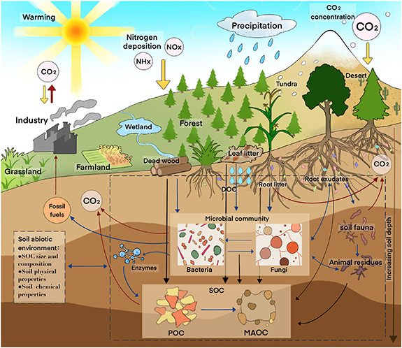 Research advances in mechanisms of climate change impacts on soil ...