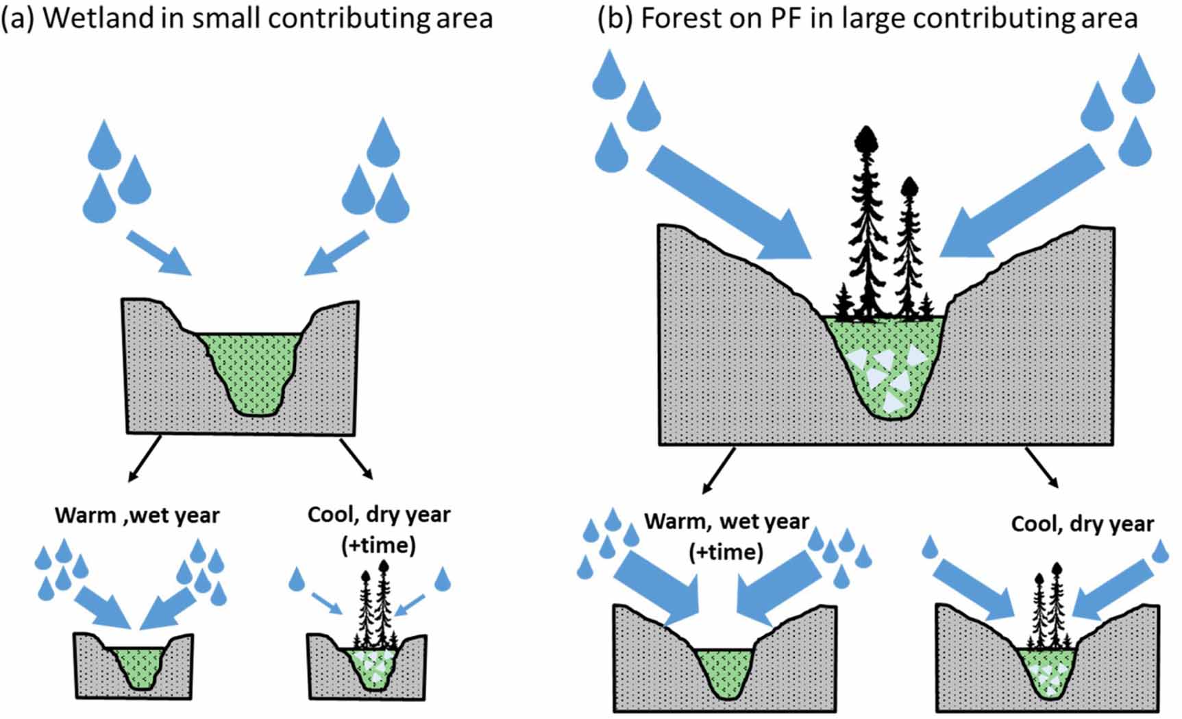 Evidence for unexpected net permafrost aggradation driven by local ...