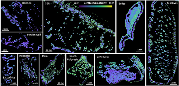 Global analysis of benthic complexity in shallow coral reefs - IOPscience
