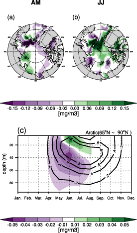 Phytoplankton responses to increasing Arctic river discharge under the ...