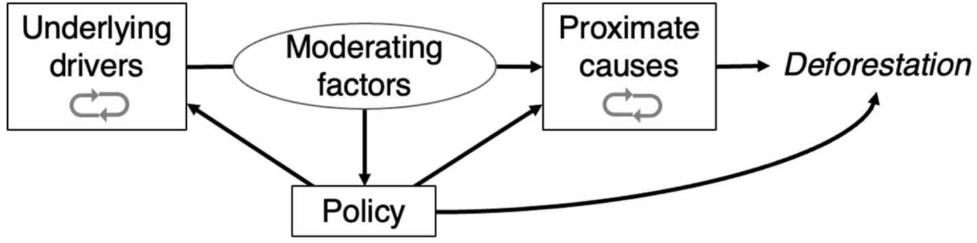 A systematic comparison of deforestation drivers and policy ...