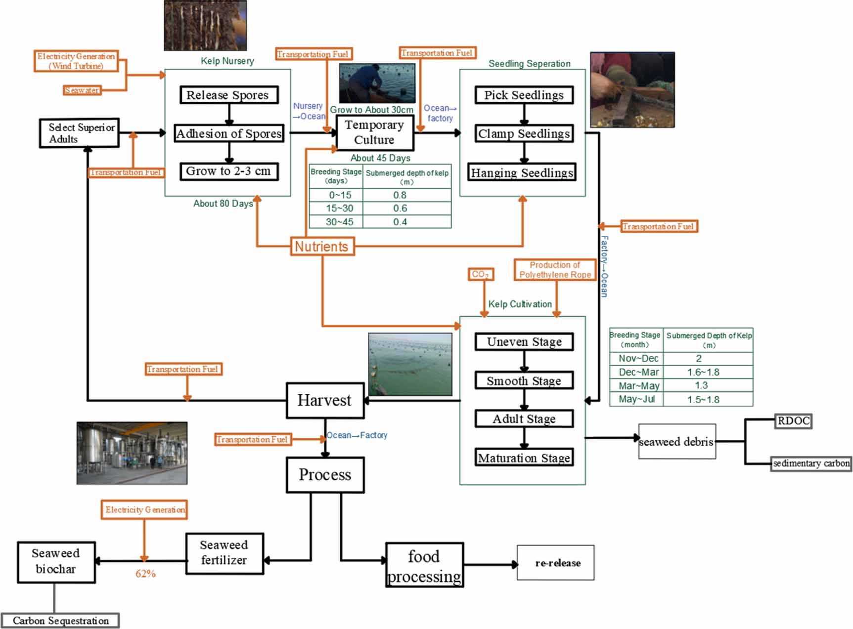 Carbon sequestration assessment and analysis in the whole life cycle of ...