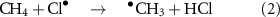 Equation (2)
