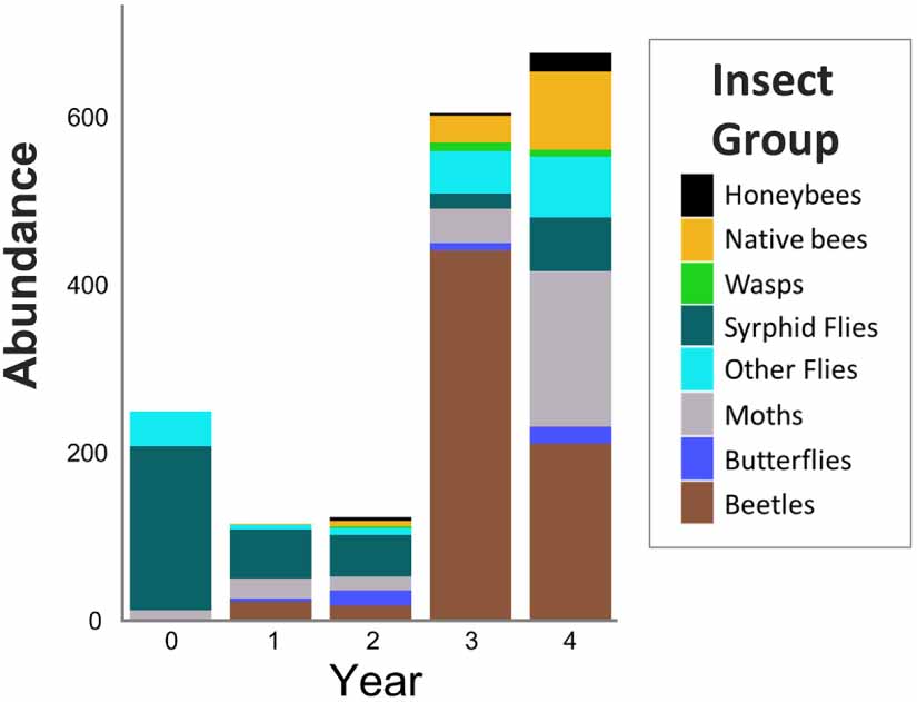 If you build it, will they come? Insect community responses to habitat ...
