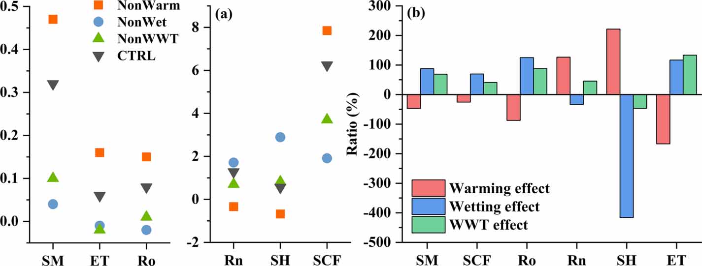 Land surface processes response to warming and wetting trend in ...