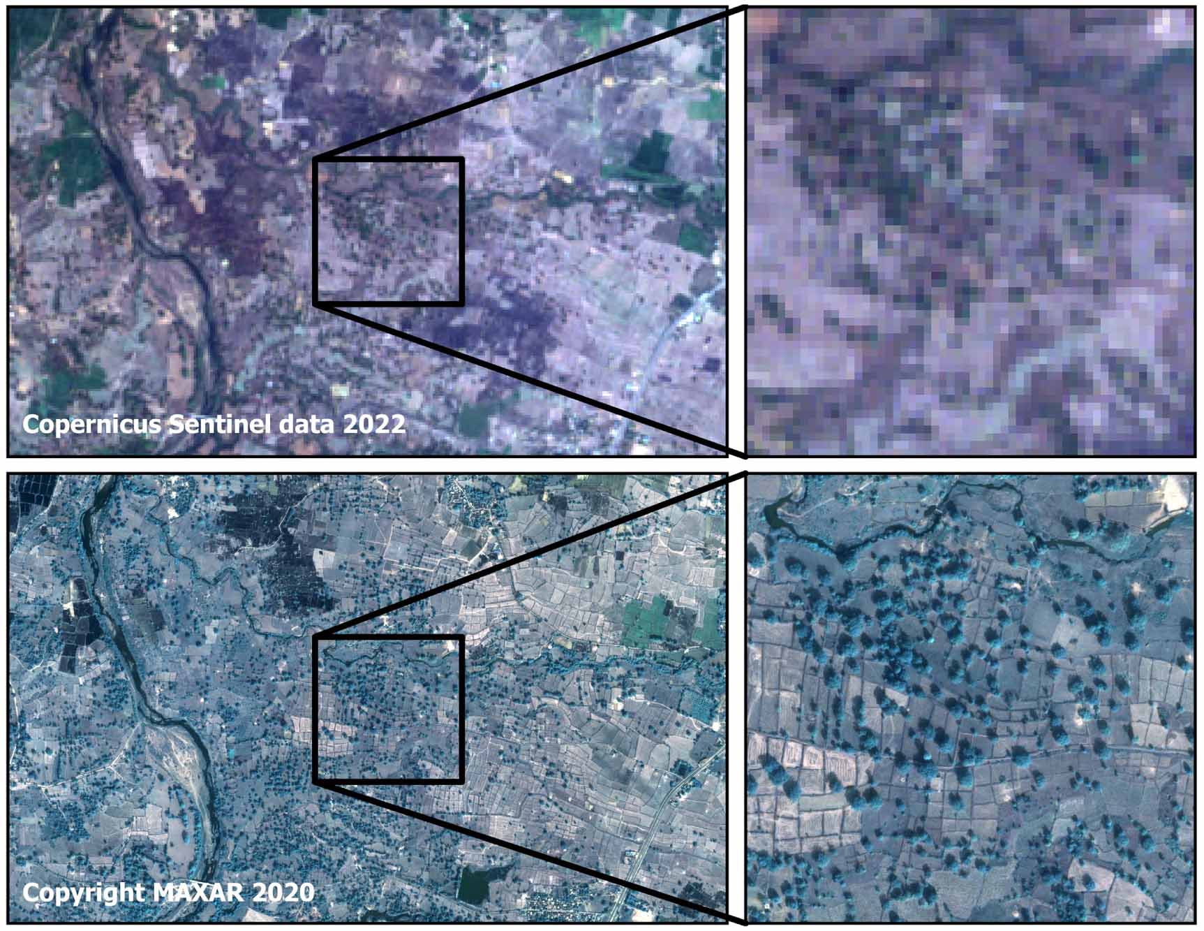 Measuring the extent of trees outside of forests: a nature-based ...