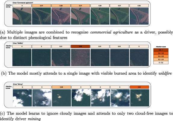Mapping drivers of tropical forest loss with satellite image time ...
