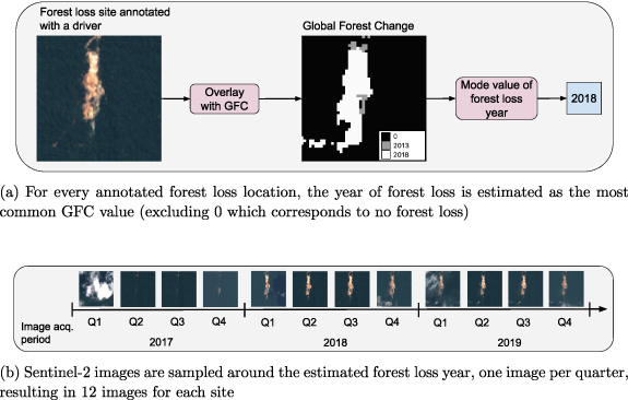 Mapping drivers of tropical forest loss with satellite image time ...