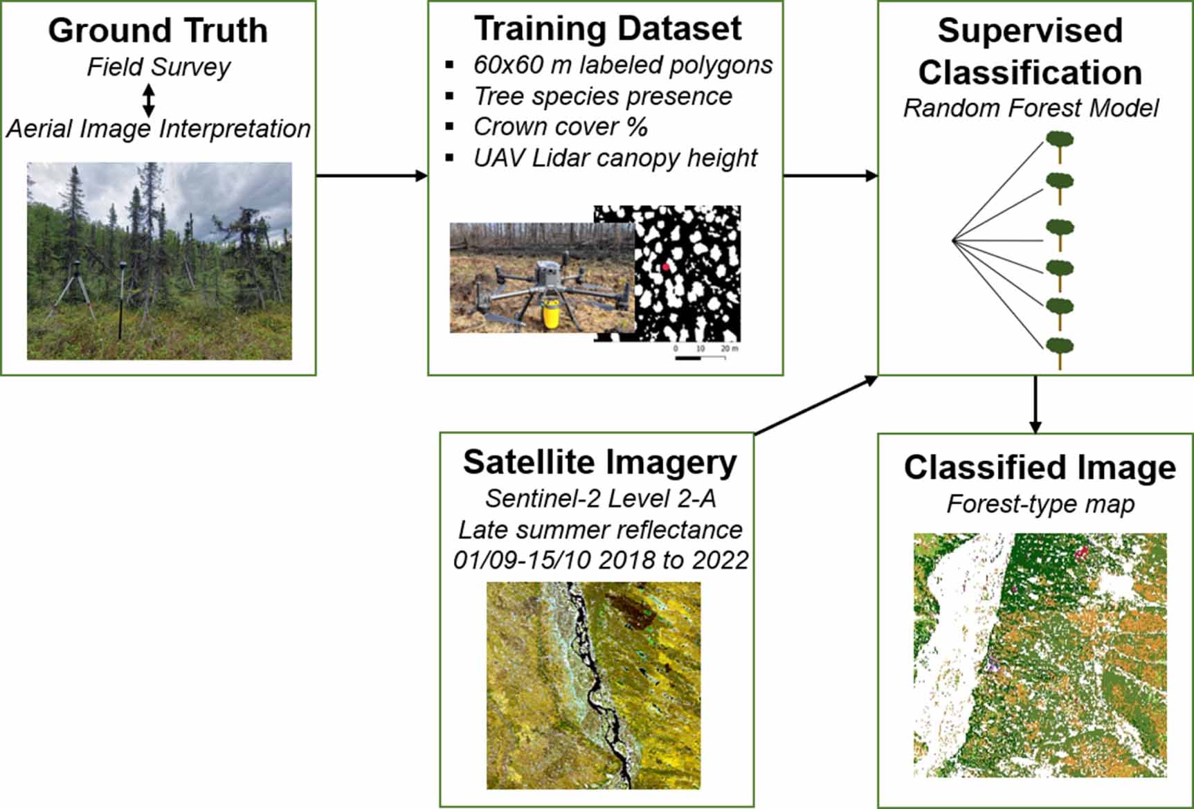 Unraveling boreal forest composition and drivers across scales in ...