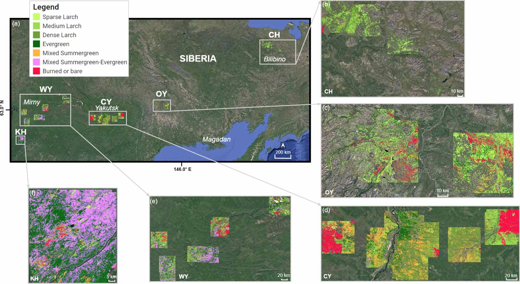 Unraveling boreal forest composition and drivers across scales in ...