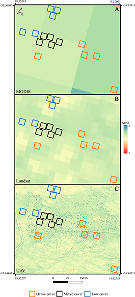 Pixels In Geography Unpacking satellite pixels: UAVs reveal fine-scale drivers of land ...