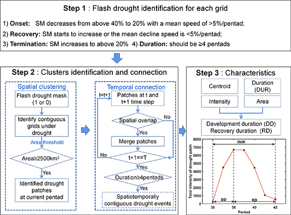 Disparities and similarities in the spatiotemporal dynamics of flash ...