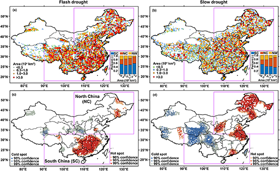 Disparities and similarities in the spatiotemporal dynamics of flash ...
