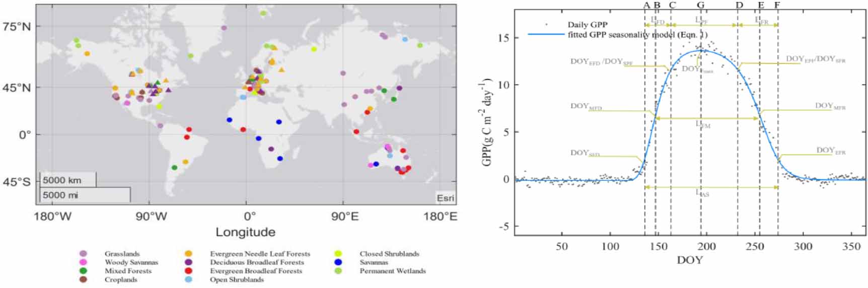 Asynchrony of the seasonal dynamics of gross primary production and ...