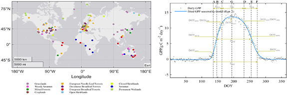 Asynchrony of the seasonal dynamics of gross primary production and ...