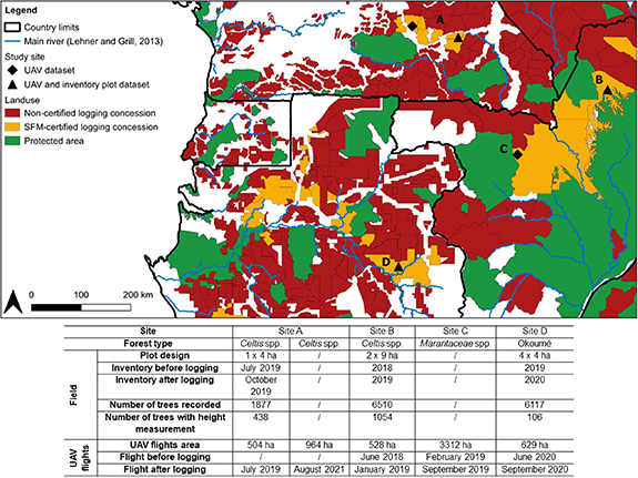 Scaling up the assessment of logging’s impact on forest structure in ...