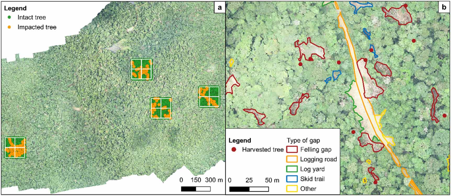 Scaling up the assessment of logging’s impact on forest structure in ...