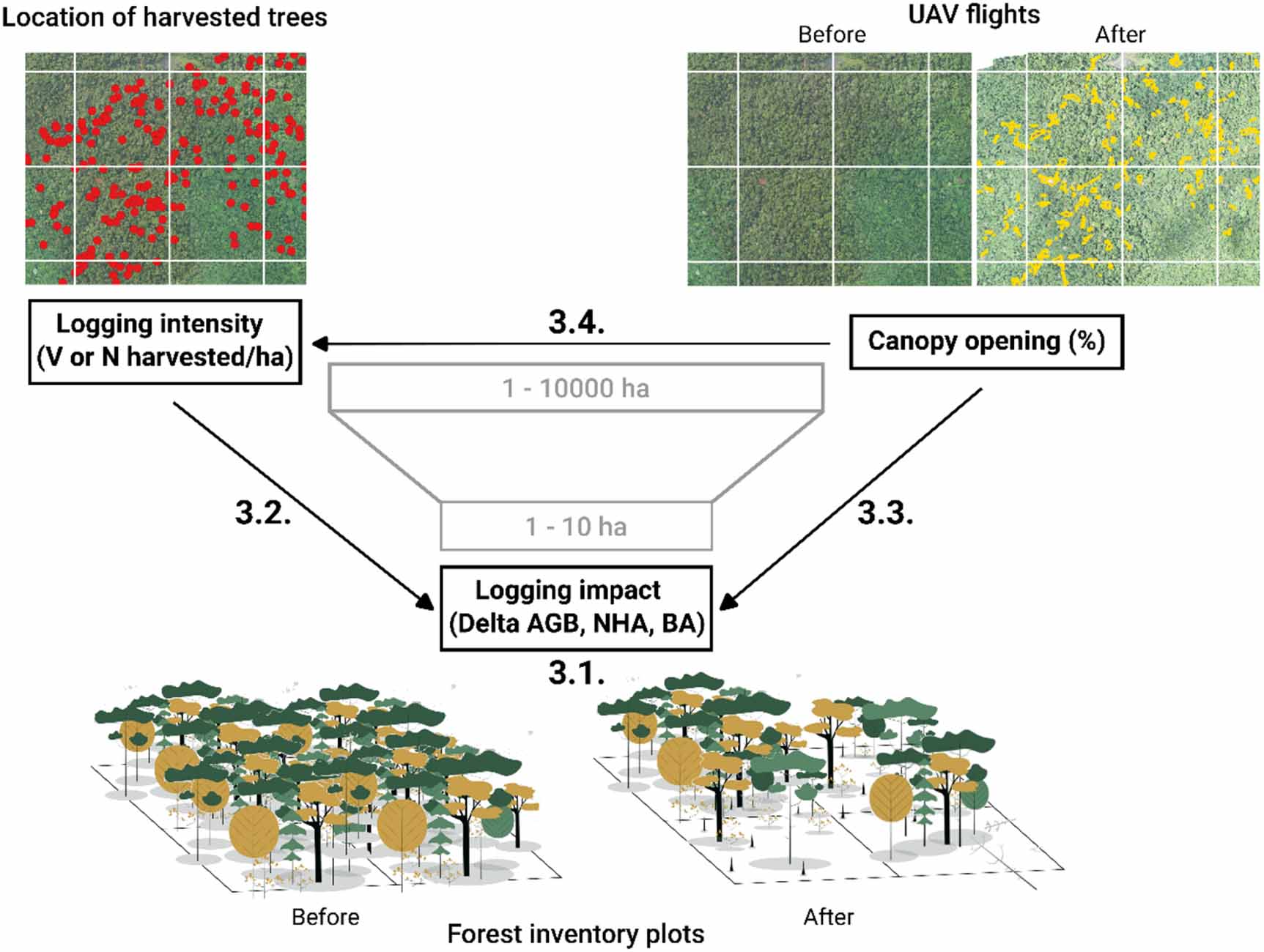 Scaling up the assessment of logging’s impact on forest structure in ...