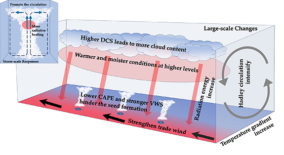 Impact of cloud radiative forcing on tropical cyclone frequency and ...