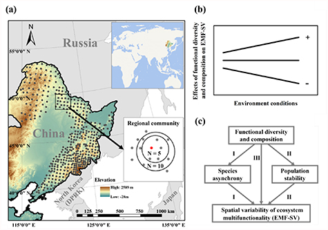 Estimating the effects of functional diversity and composition on the ...