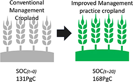Global soil organic carbon sequestration potential under sustainable ...