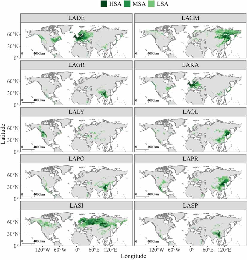 Predicted suitable habitat distribution of major Larix species in the ...