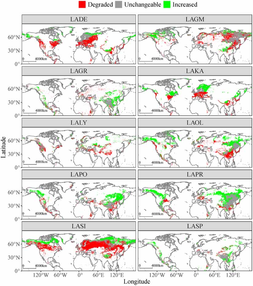 Predicted suitable habitat distribution of major Larix species in the ...