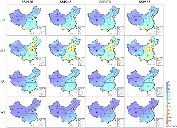 Enhanced interannual variability of the terrestrial carbon sink in ...