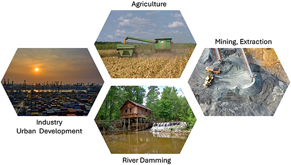 Connecting the past with restoration futures: integrating legacy ...