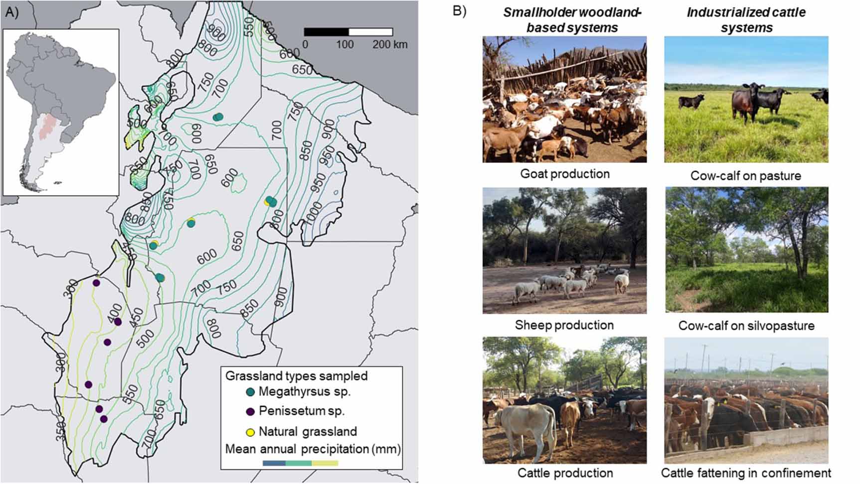 Improving the estimation of grazing pressure in tropical rangelands ...