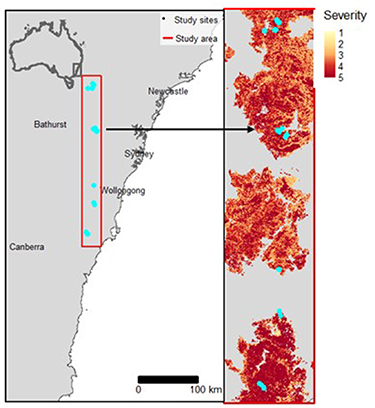 Fire Feedback Loop Evidence for state shift and generation of fire feedback loops in mesic ...