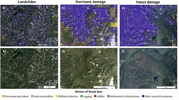 Global drivers of forest loss at 1 km resolution - IOPscience