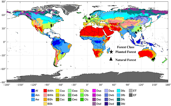 Impacts of extreme drought and heatwave events on evergreen forests in ...