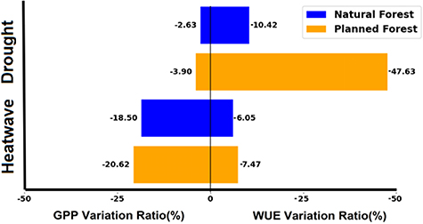 Impacts of extreme drought and heatwave events on evergreen forests in ...