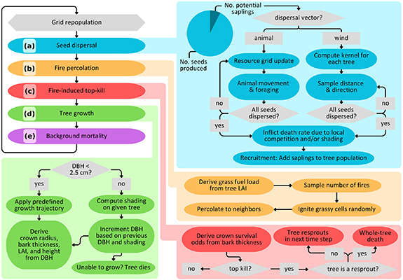 Tree seed dispersal modes affect forest resilience along savanna-forest ...