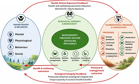 自然処方における生物多様性の重要性を示す新たな枠組み（Not all green space is equal: New framework highlights overlooked ecological factors in nature prescribing）