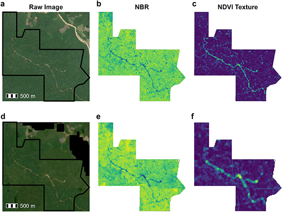 Mapping low-intensity selective logging across the Peruvian Amazon ...