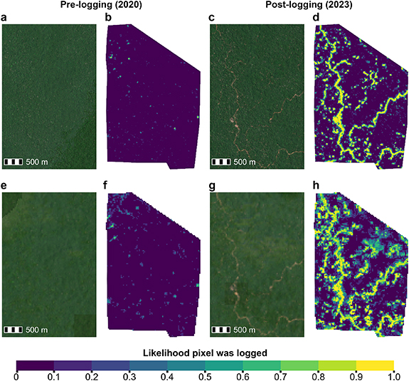 Mapping low-intensity selective logging across the Peruvian Amazon ...