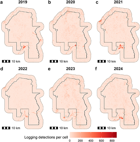 Mapping low-intensity selective logging across the Peruvian Amazon ...