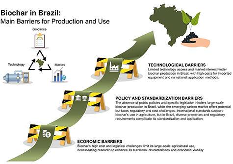 Perspectives and opportunities for the intensive use of biochar in ...