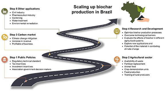 Perspectives and opportunities for the intensive use of biochar in ...