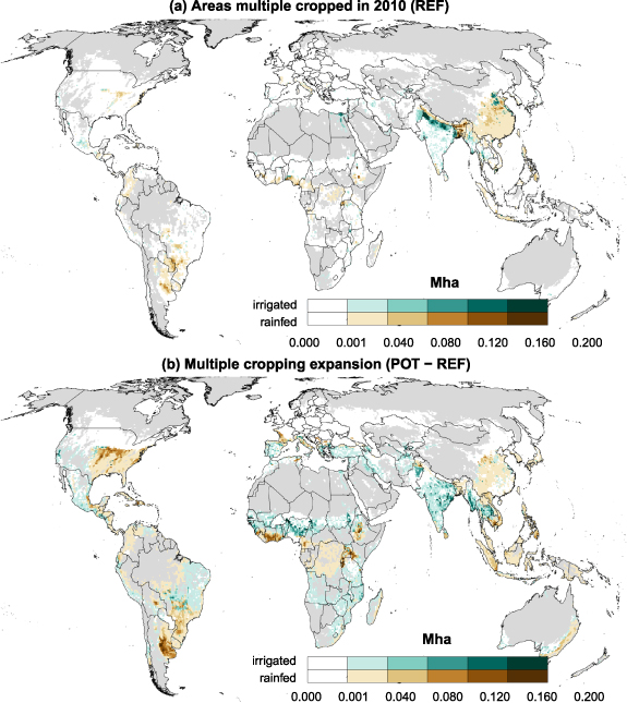Irrigation constraints shape the global potential for multiple cropping ...